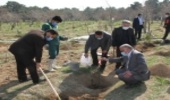 کاشت درخت مهم است اما نگهداری و مراقبت از آن مهمتر!