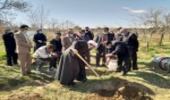 کلاس مجردها امسال هم نهال کاشتند
