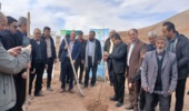 در پویش درختکاری به نام پدر؛ 14هزار نهال در خراسان رضوی کاشته شد