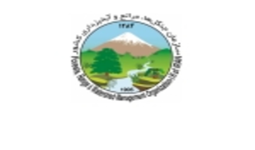 کسب رتبه برتر سازمان جنگل‌ها در ارزیابی عملکرد دستگاه‌های وزارت جهاد کشاورزی