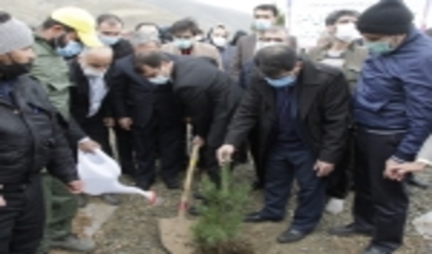 رییس سازمان جنگل‌ها در مراسم روز درختکاری: بدون توجه به منابع طبیعی و محیط زیست آینده خوبی نخواهیم داشت
