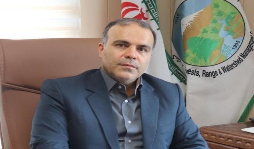 مدیرکل منابع طبیعی و آبخیزداری گیلان خبر داد؛ درآمد ۳۰۰ میلیارد تومانی از زراعت چوب در سال ۱۴۰۰