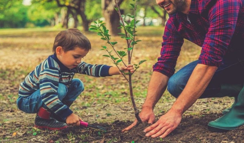 جنگل‌کاری، ضرورتی برای مدیریت پایدار منابع طبیعی