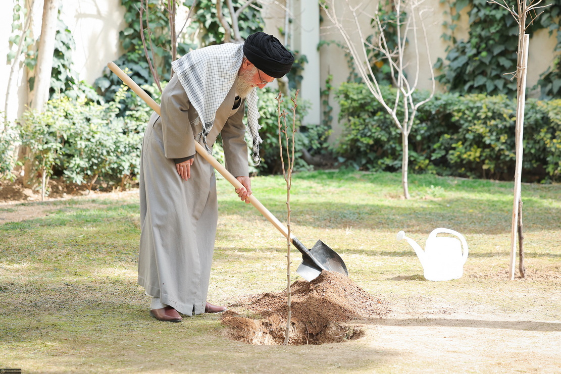کاشت نهال توسط آیت الله العظمی جوادی آملی در هفته منابع طبیعی